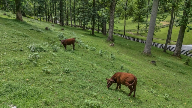 3120 Boxley View Ln, Franklin, TN 37064 - view of community with a view of rural / pastoral area