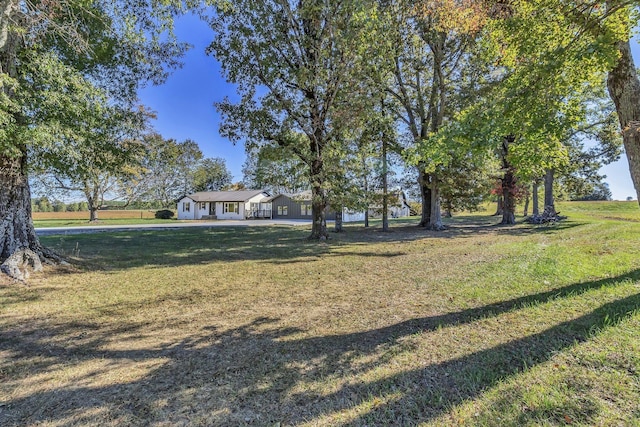 3735 Waynesboro Hwy, Lawrenceburg, TN 38464 - photo 4