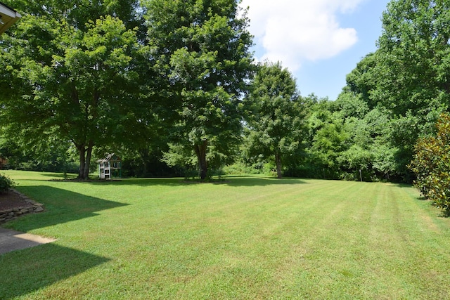 235 Chipaway Dr, Gallatin, TN 37066 - photo 70