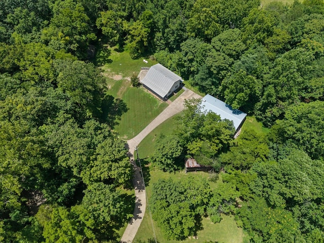 3000 Preston Bagwell Rd, Clarksville, TN 37043 - view of property location featuring a heavily wooded area