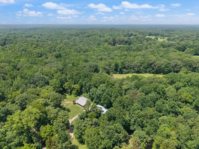 3000 Preston Bagwell Rd, Clarksville, TN 37043 - aerial view of a forest