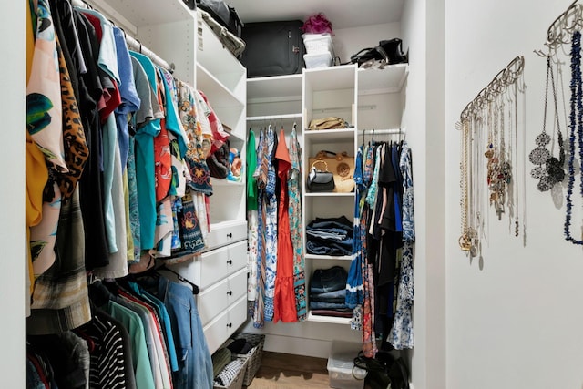 332 Country Club Rd, Winchester, TN 37398 - view of walk in closet