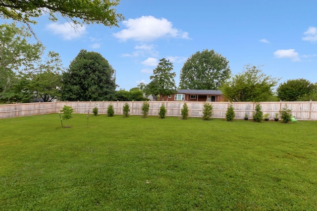 332 Country Club Rd, Winchester, TN 37398 - view of fenced backyard