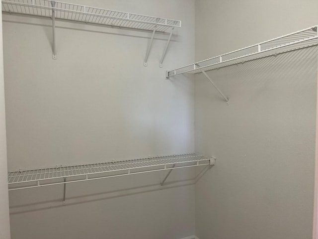 3754 Chippewa Pl, Murfreesboro, TN 37128 - view of spacious closet