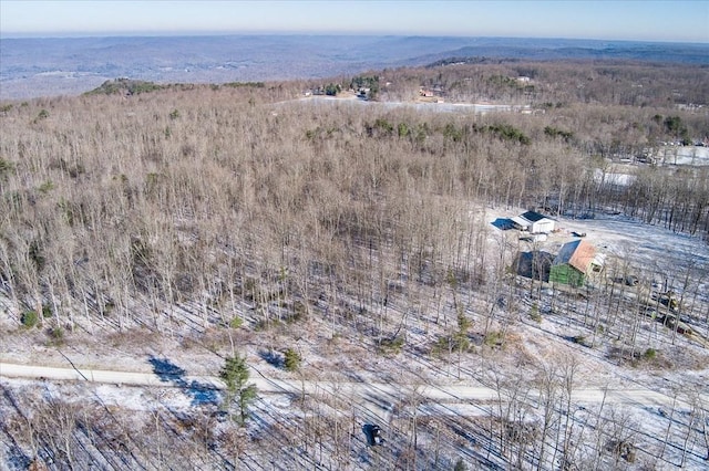 0 Coal Bank Rd, Sparta, TN 38583 - photo 7