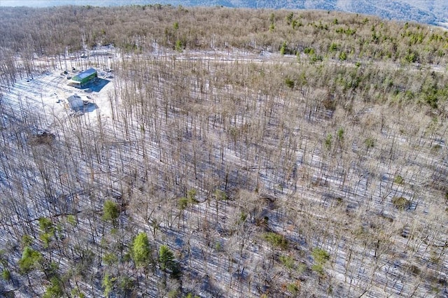 0 Coal Bank Rd, Sparta, TN 38583 - photo 8