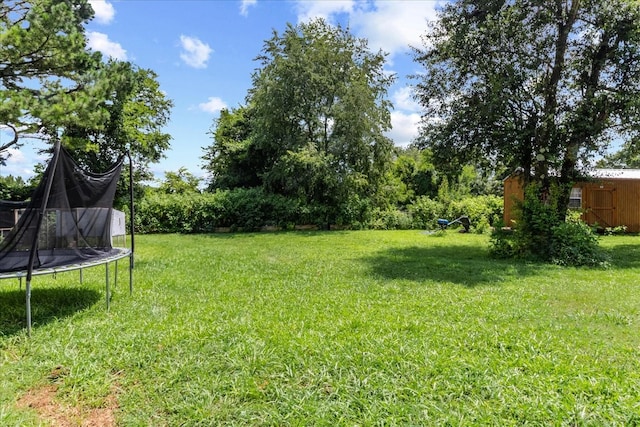1855 Richland Rd, Pulaski, TN 38478 - photo 25