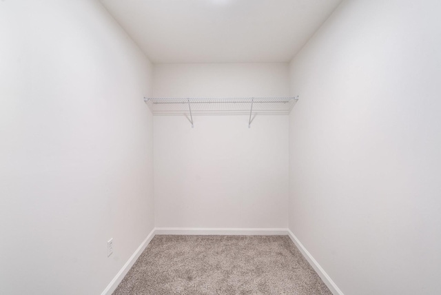 1204 Lambeth Way, Antioch, TN 37013 - walk in closet with light colored carpet