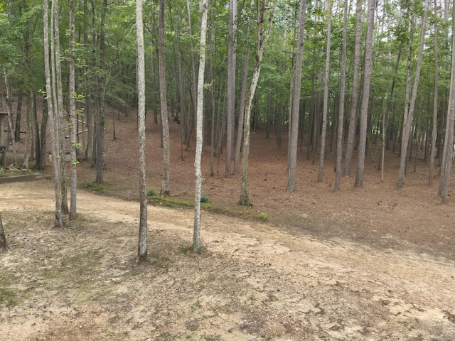 2129 Stephens Town Rd, Linden, TN 37096 - photo 16