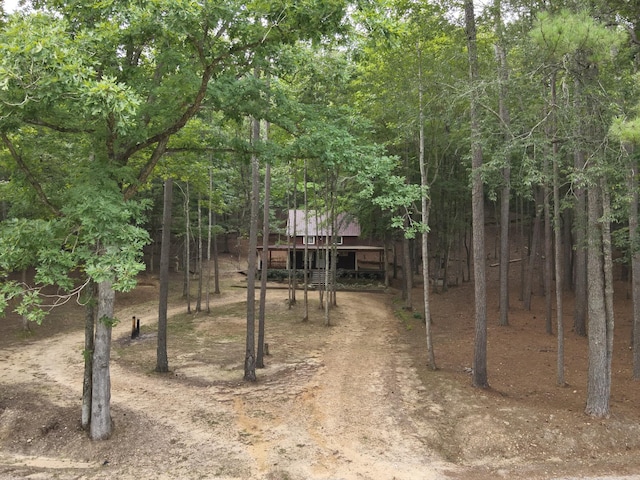 2129 Stephens Town Rd, Linden, TN 37096 - photo 12