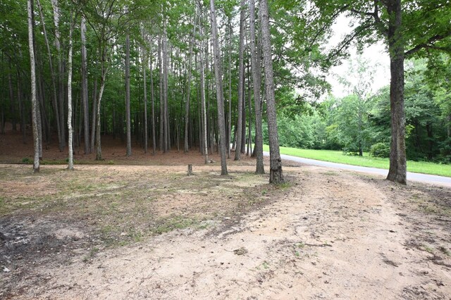 2129 Stephens Town Rd, Linden, TN 37096 - photo 22