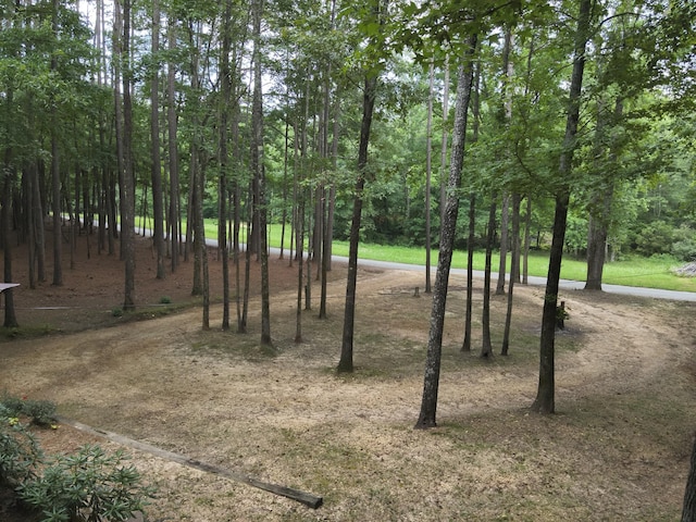 2129 Stephens Town Rd, Linden, TN 37096 - photo 14