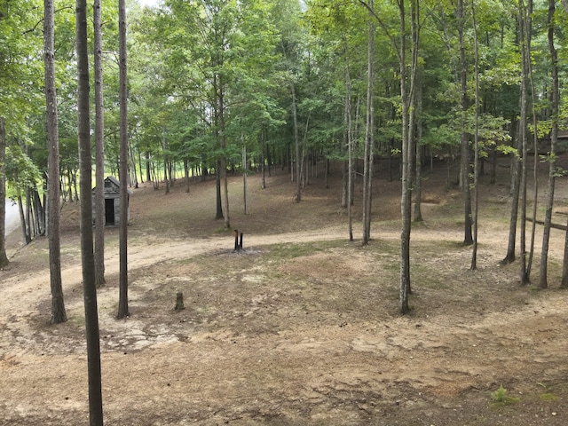 2129 Stephens Town Rd, Linden, TN 37096 - photo 17