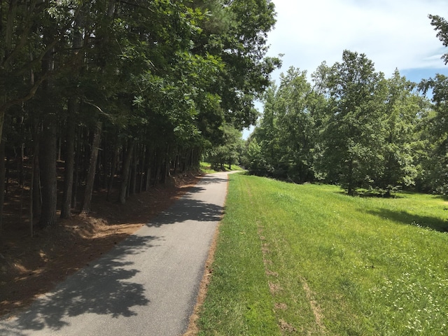 2129 Stephens Town Rd, Linden, TN 37096 - photo 19