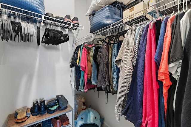 622 Birdie Dr, Spring Hill, TN 37174 - view of walk in closet