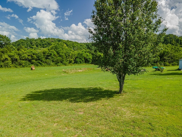 1060 Evans Rd, Lewisburg, TN 37091 - photo 71