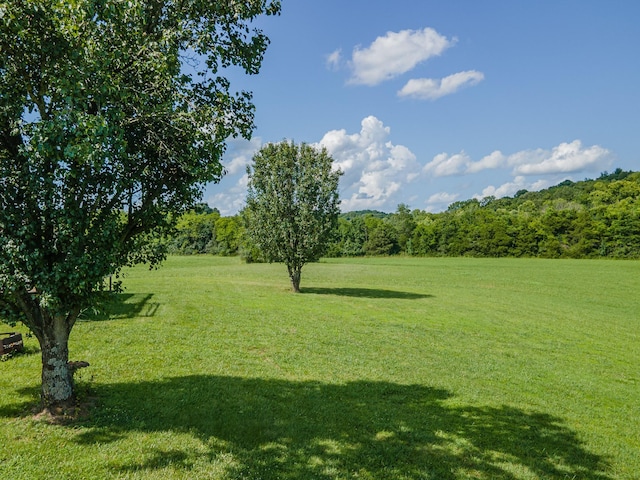 1060 Evans Rd, Lewisburg, TN 37091 - photo 67