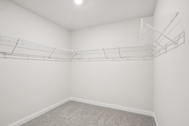 342 Zen Ct, Smyrna, TN 37167 - photo 50