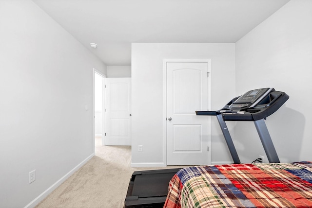 6064 Christeene Ct, White House, TN 37188 - photo 29