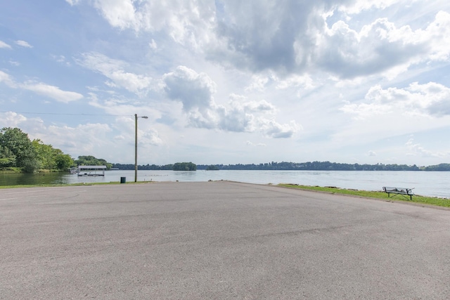 141 Chesapeake Harbor Blvd, Hendersonville, TN 37075 - photo 46