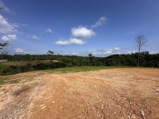 300 Maxwell Hill Rd, Pulaski, TN 38478 - photo 6