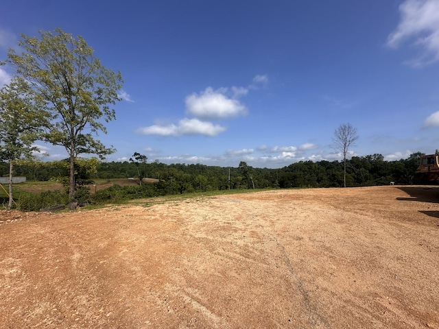 300 Maxwell Hill Rd, Pulaski, TN 38478 - photo 7