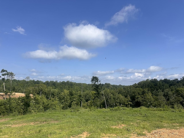 300 Maxwell Hill Rd, Pulaski, TN 38478 - photo 3