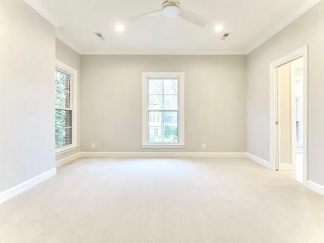 202 Moultrie Park, Nashville, TN 37205 - photo 15