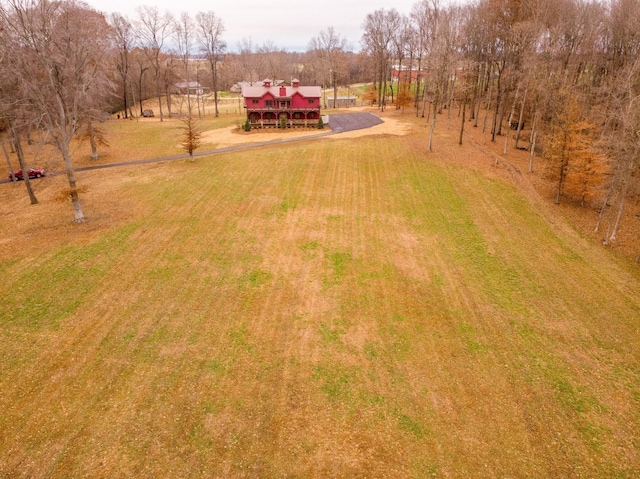 1224 Hangar Dr, Springfield, TN 37172 - view of yard