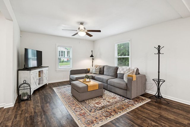 819 Woodside St, Columbia, TN 38401 - living area featuring plenty of natural light, a ceiling fan, and wood finished floors