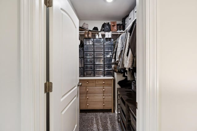 819 Woodside St, Columbia, TN 38401 - walk in closet with dark carpet