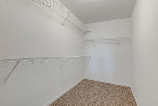 6009 Ten Bears Way, Spring Hill, TN 37174 - photo 23
