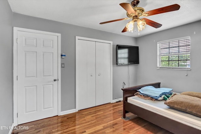 6416 Trousdale Rd, Knoxville, TN 37921 - photo 15