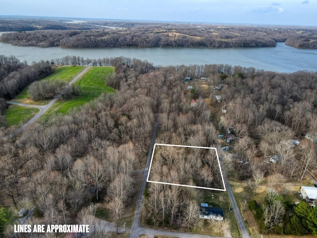 0 Muskie Way, Scottsville, KY 42164 - photo 3