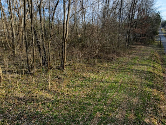 0 Muskie Way, Scottsville, KY 42164 - photo 12
