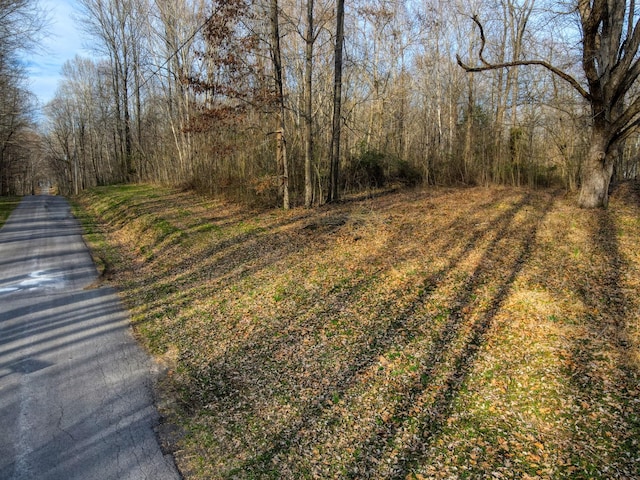 0 Muskie Way, Scottsville, KY 42164 - photo 11