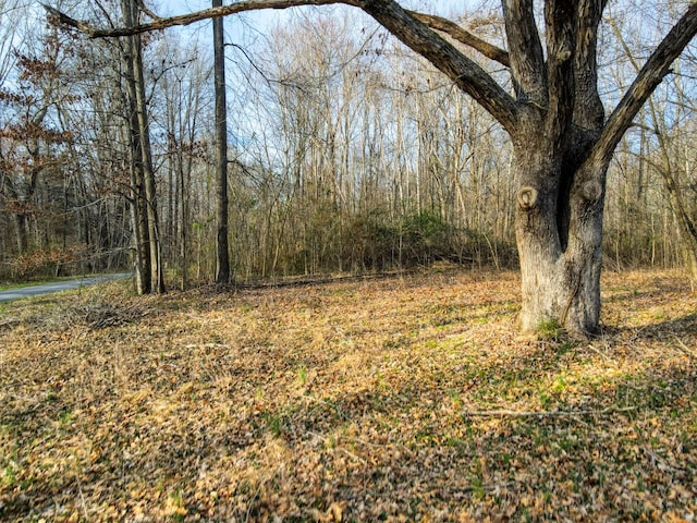 0 Muskie Way, Scottsville, KY 42164 - photo 13