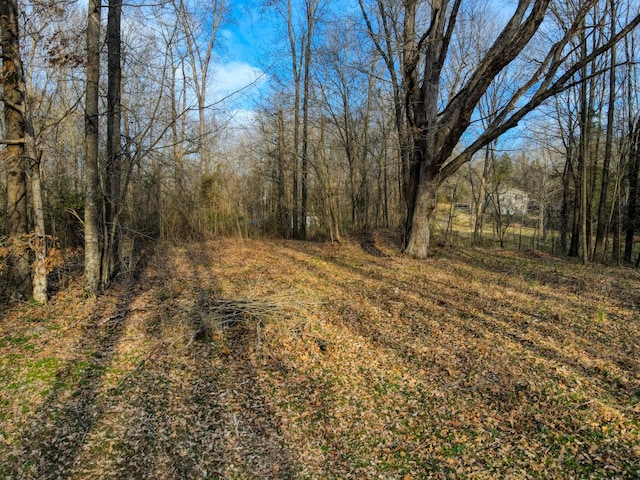 0 Muskie Way, Scottsville, KY 42164 - photo 10