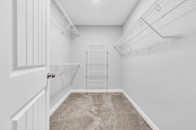 626 Snowshoe Ln, Clarksville, TN 37040 - spacious closet with carpet flooring