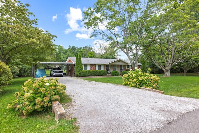108 Apple Ln, Greenbrier, TN 37073 - photo 39