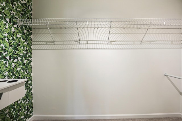 3315 Monoco Dr, Spring Hill, TN 37174 - spacious closet featuring carpet flooring