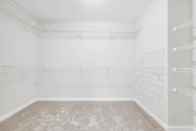 3190 Marthas Chapel Rd, Cunningham, TN 37052 - spacious closet with carpet floors