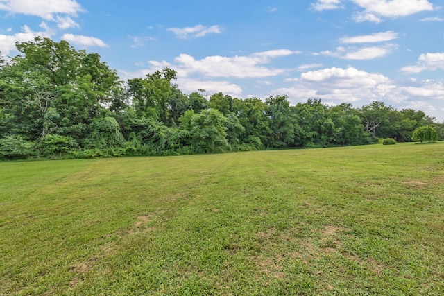 3190 Marthas Chapel Rd, Cunningham, TN 37052 - view of green lawn with a wooded view