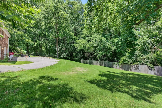 609 Chrisman Dr, Clarksville, TN 37042 - view of yard