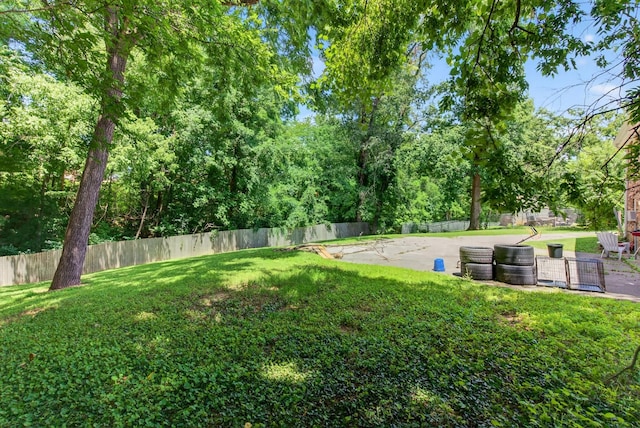 609 Chrisman Dr, Clarksville, TN 37042 - view of yard