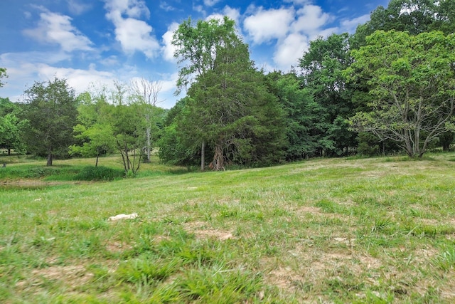 6770 Bly Trice Rd, College Grove, TN 37046 - photo 36