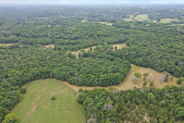 6770 Bly Trice Rd, College Grove, TN 37046 - photo 44