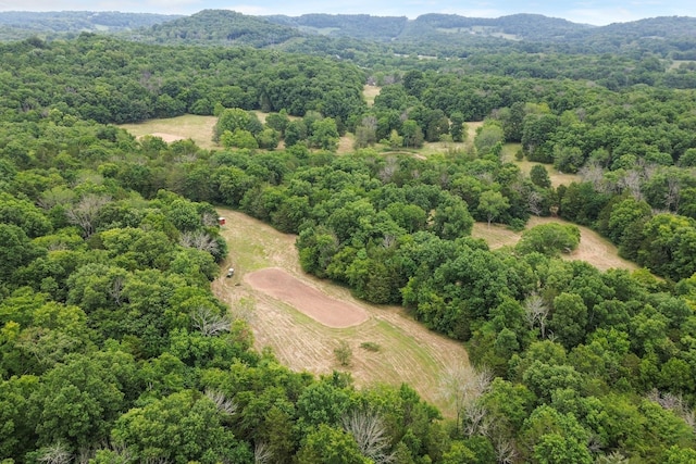 6770 Bly Trice Rd, College Grove, TN 37046 - photo 28