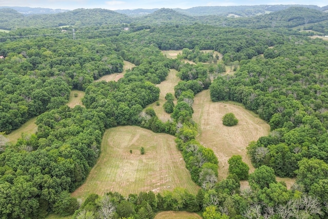 6770 Bly Trice Rd, College Grove, TN 37046 - photo 4