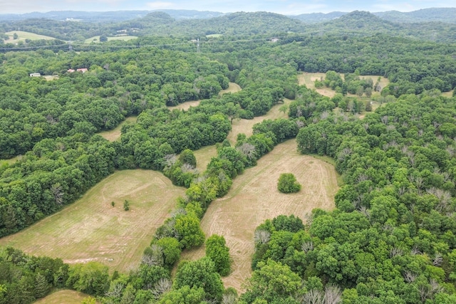 6770 Bly Trice Rd, College Grove, TN 37046 - photo 32